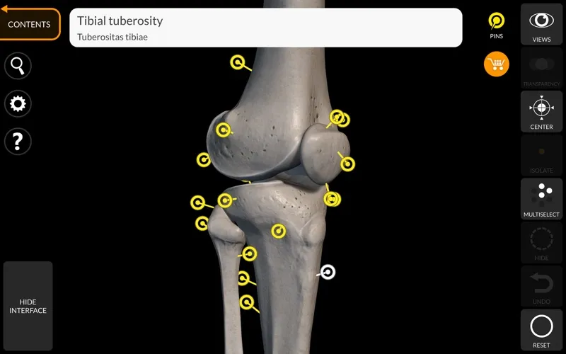 Skeleton 3D Anatomy screenshot 6