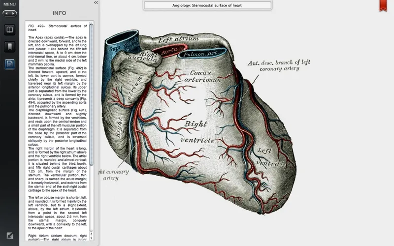 Grays Anatomy Student Edition screenshot 2
