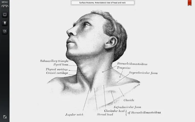 Grays Anatomy Student Edition screenshot 3