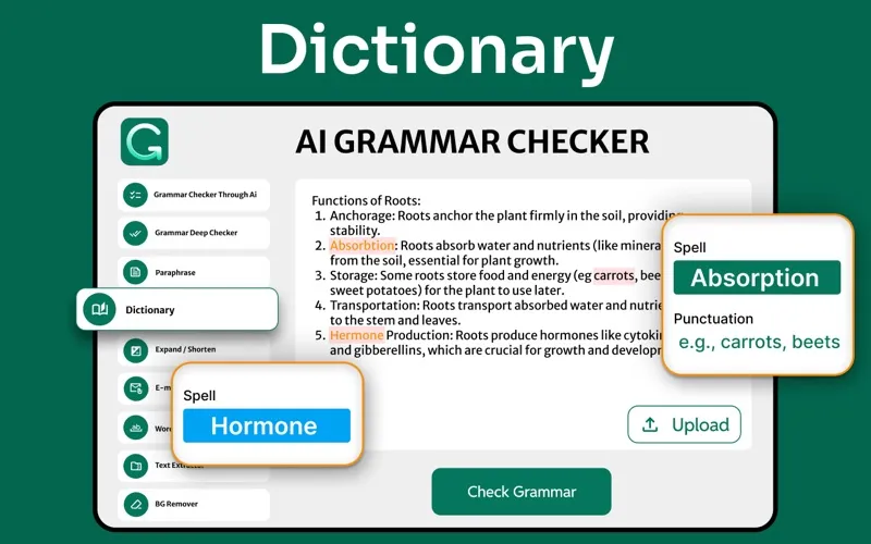 Grammar Checker, Humanizer App screenshot 3