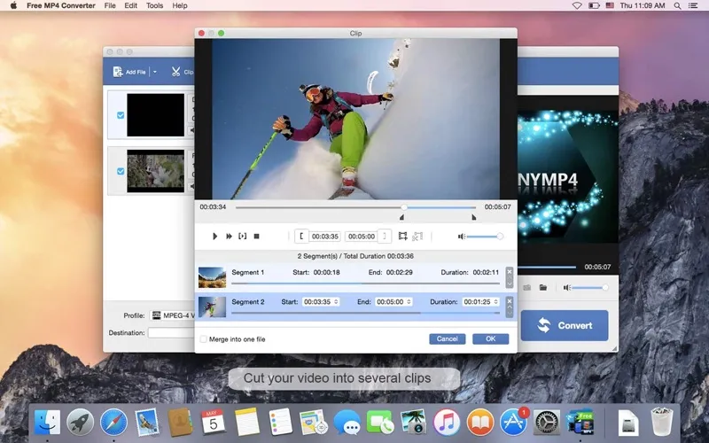 Free MP4 Converter screenshot 3
