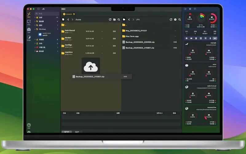 Plex Term screenshot 2