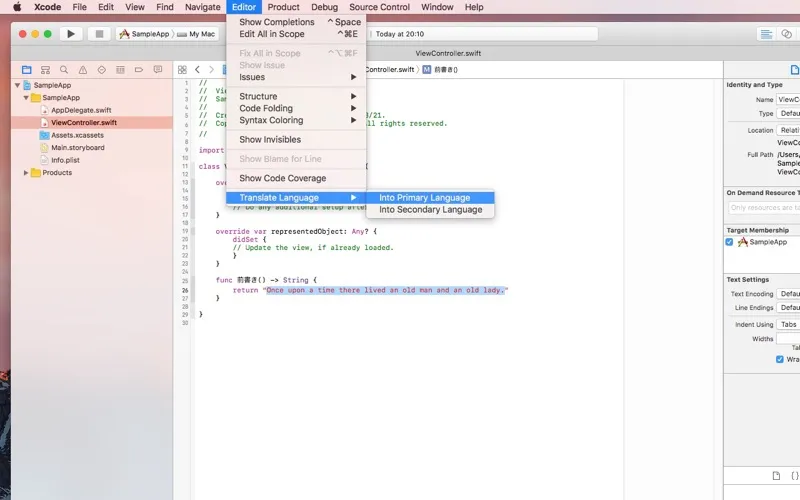 LanguageTranslator for Xcode screenshot 1