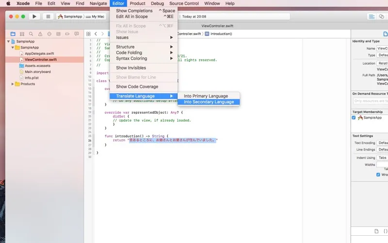 LanguageTranslator for Xcode screenshot 2