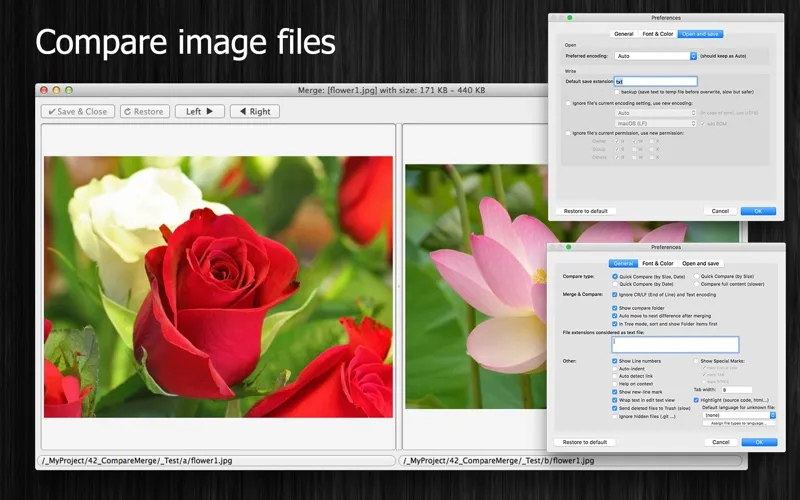 CompareMerge2 screenshot 9