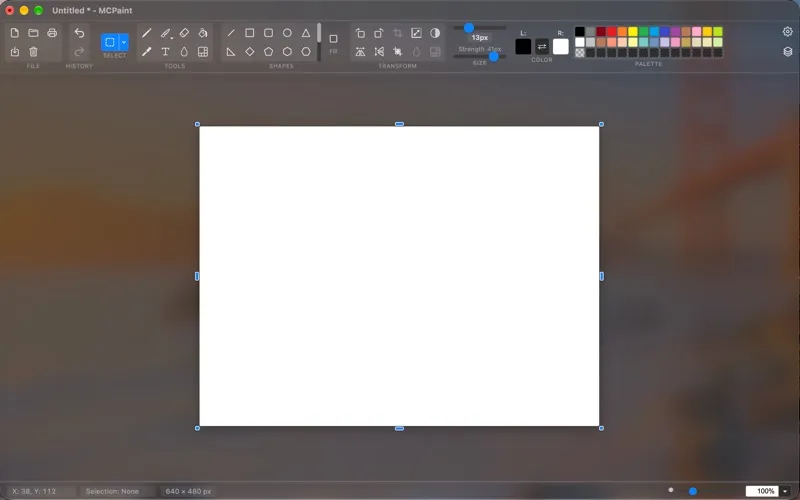 MCPaint screenshot 1