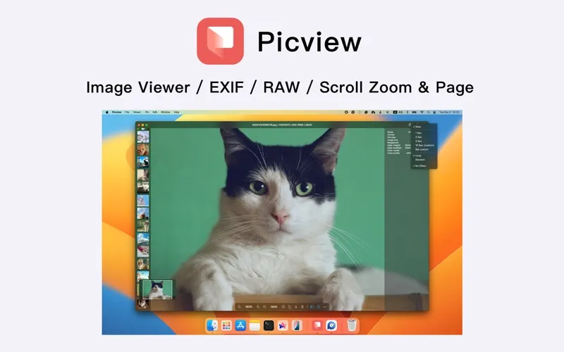 Picview screenshot 1