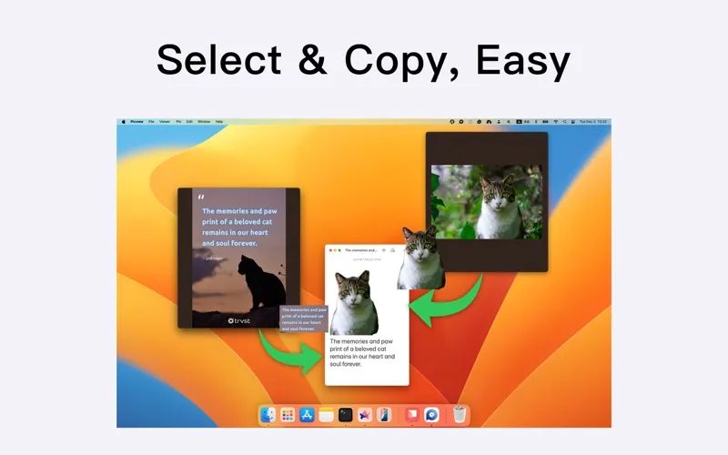 Picview screenshot 6