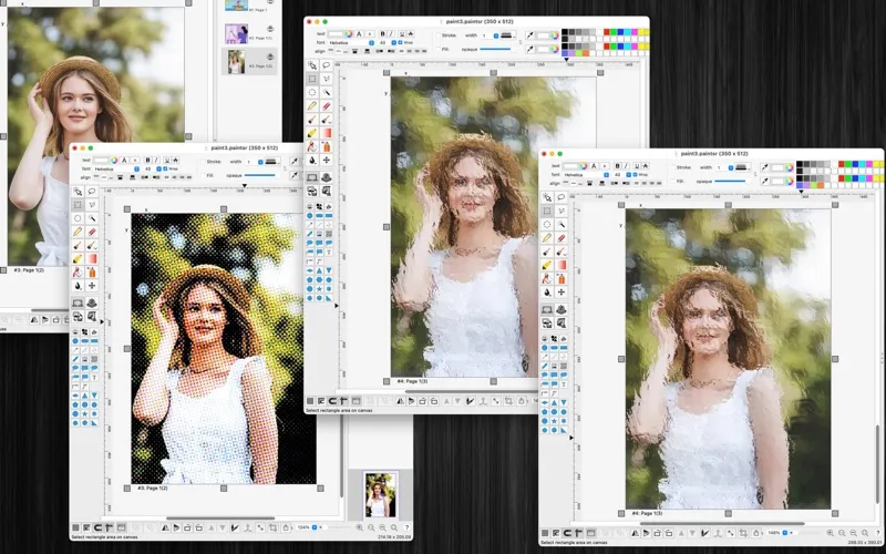 Paint raster screenshot 5