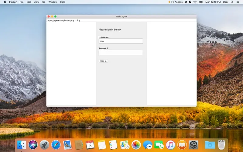 F5Access screenshot 4