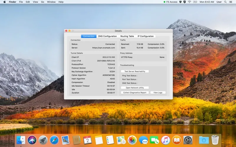 F5Access screenshot 5