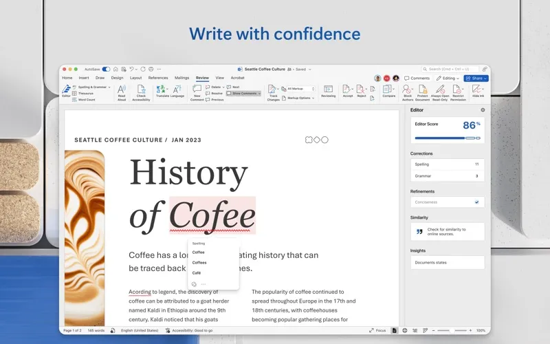 Microsoft Word screenshot 2