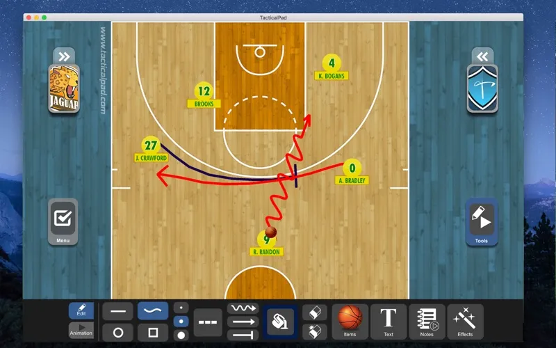 TacticalPad Basketball screenshot 2