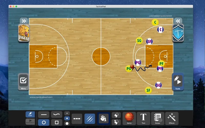 TacticalPad Basketball screenshot 5
