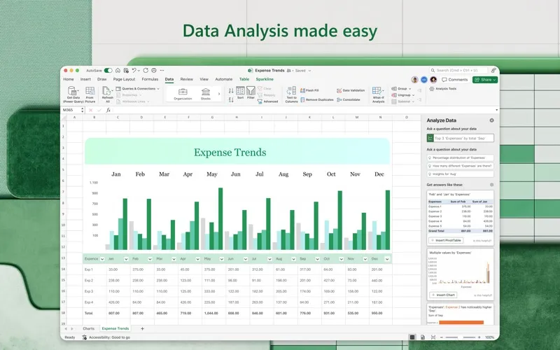 Microsoft Excel screenshot 2