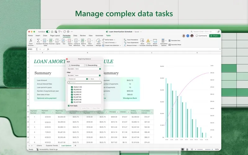 Microsoft Excel screenshot 3