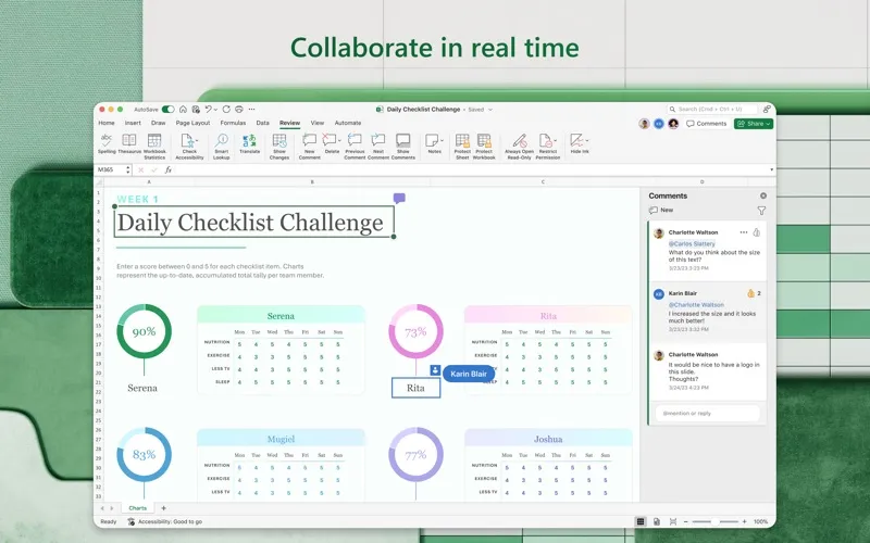 Microsoft Excel screenshot 5