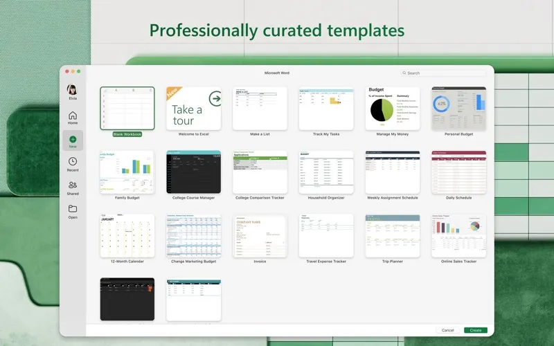 Microsoft Excel screenshot 6
