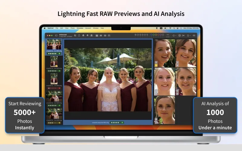 OptiCull screenshot 1