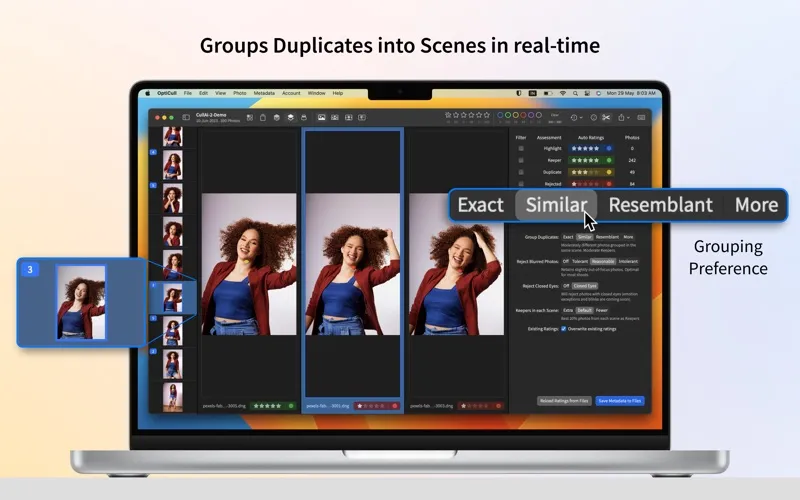 OptiCull screenshot 2