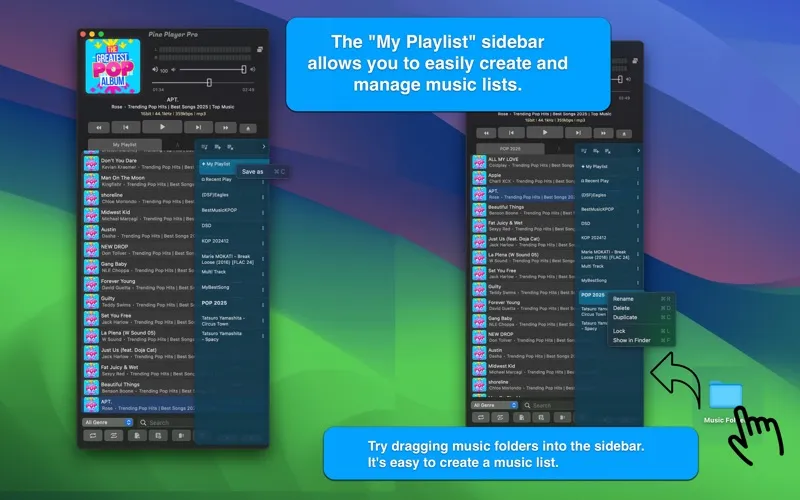 Pine Player screenshot 5