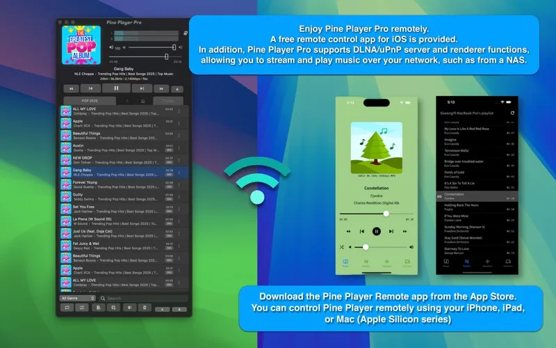 Pine Player screenshot 7