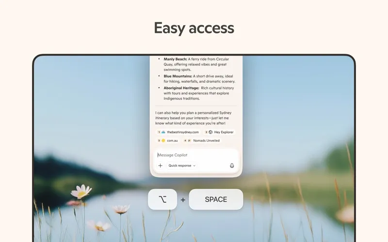 Microsoft Copilot screenshot 6