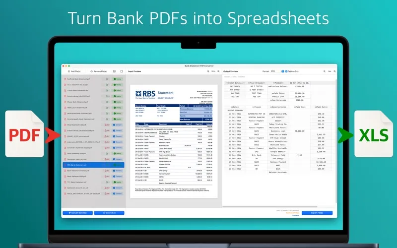 Bank Statement PDF Converter screenshot 1