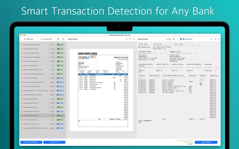 Bank Statement PDF Converter screenshot 2