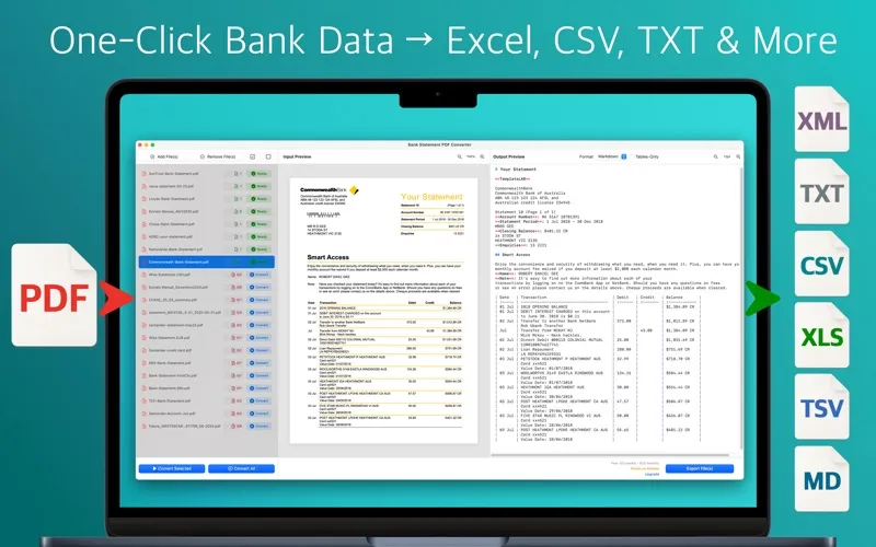 Bank Statement PDF Converter screenshot 3