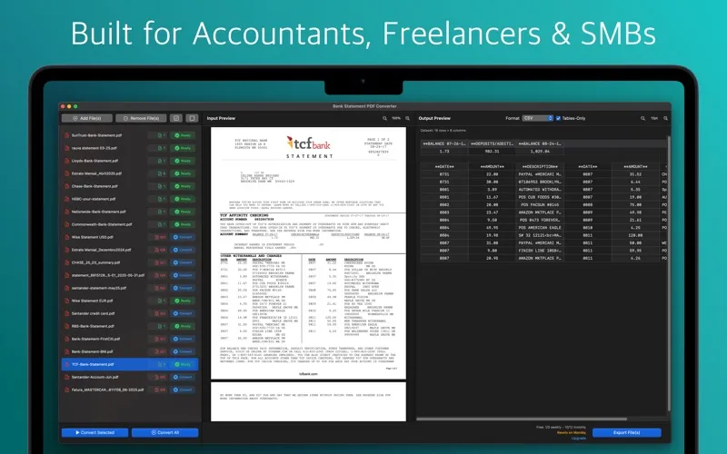 Bank Statement PDF Converter screenshot 4