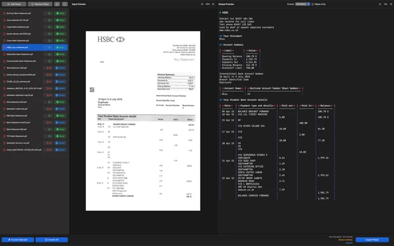 Bank Statement PDF Converter screenshot 5