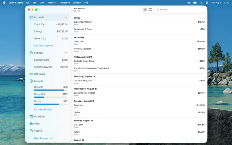 Debit & Credit screenshot 1