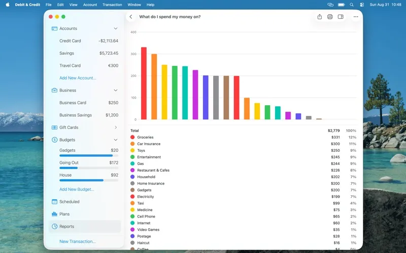 Debit & Credit screenshot 2