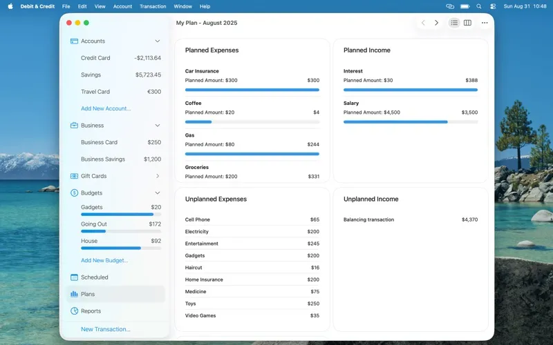 Debit & Credit screenshot 3