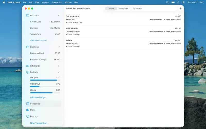 Debit & Credit screenshot 4