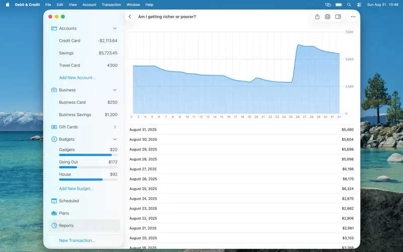 Debit & Credit screenshot 5