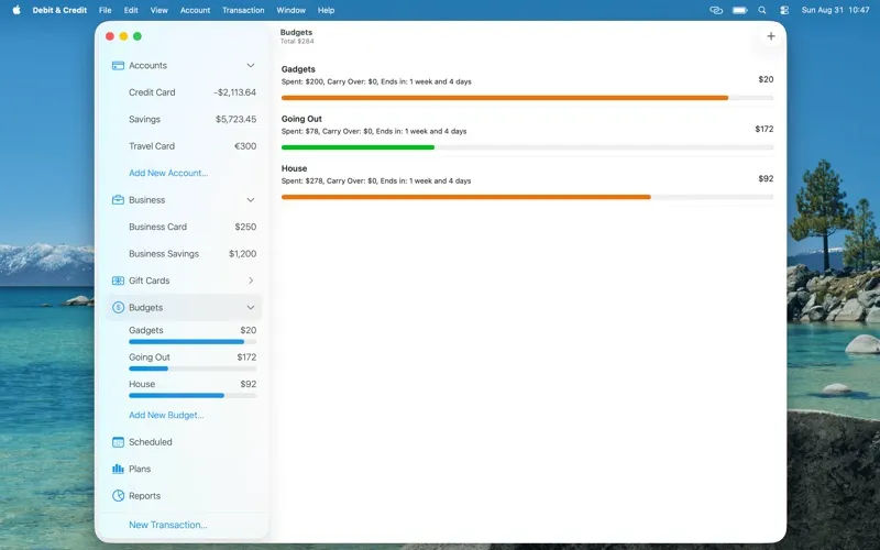 Debit & Credit screenshot 7