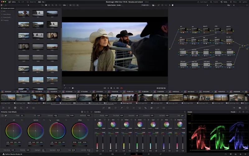 DaVinci Resolve screenshot 4