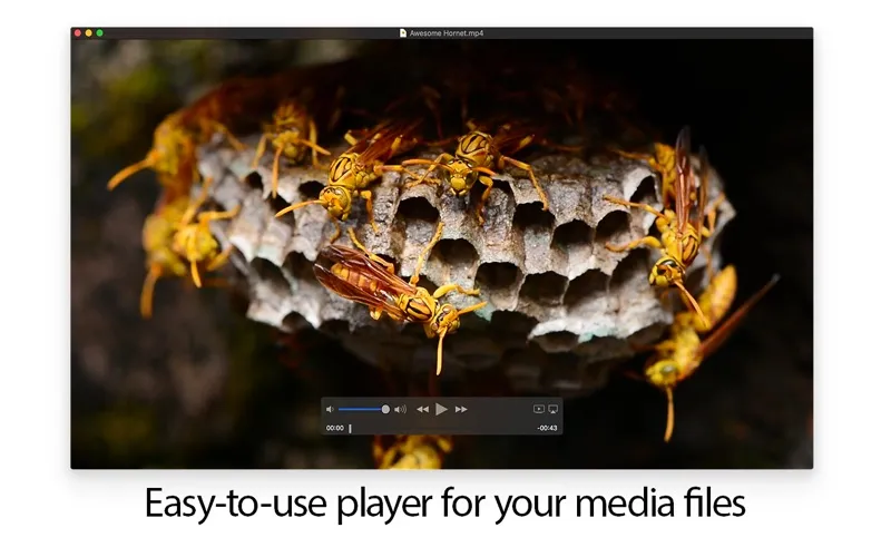 MKPlayer screenshot 6