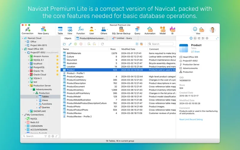Navicat Premium Lite screenshot 1