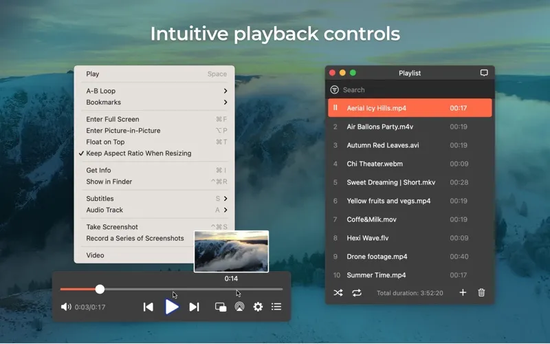 Elmedia Video Player screenshot 2