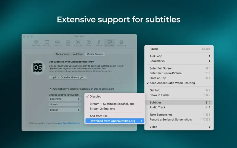 Elmedia Video Player screenshot 5