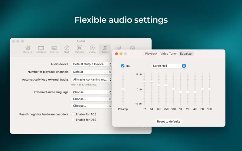 Elmedia Video Player screenshot 7