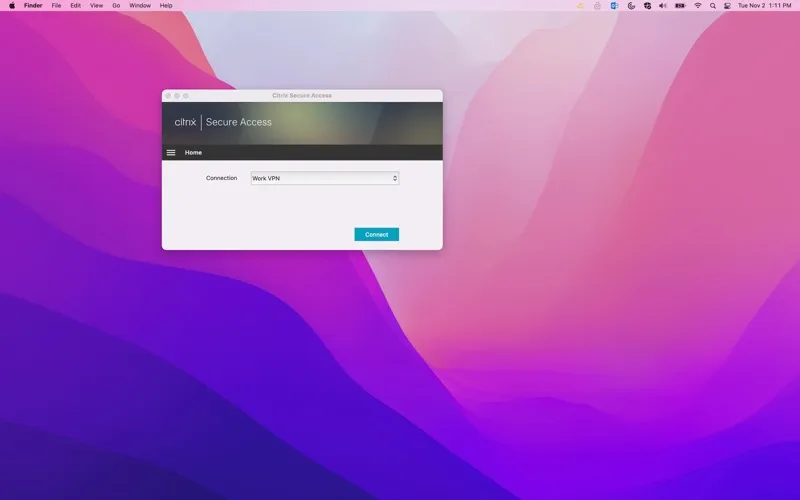 Citrix Secure Access screenshot 1