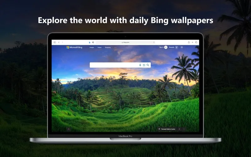 Microsoft Bing for Safari screenshot 2