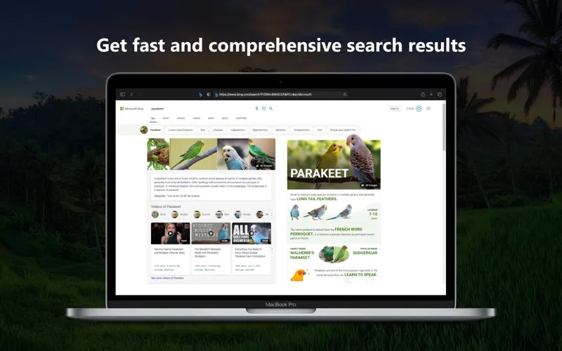 Microsoft Bing for Safari screenshot 3