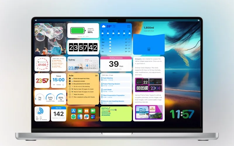 Widgetify screenshot 5