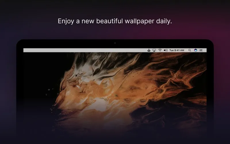 Unsplash Wallpapers screenshot 5