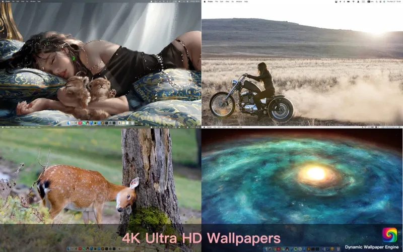 Dynamic Wallpaper Studio screenshot 8